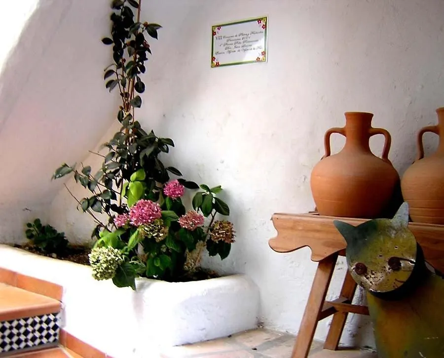 Guest house El Cobijo De Vejer Hotel Vejer de la Frontera