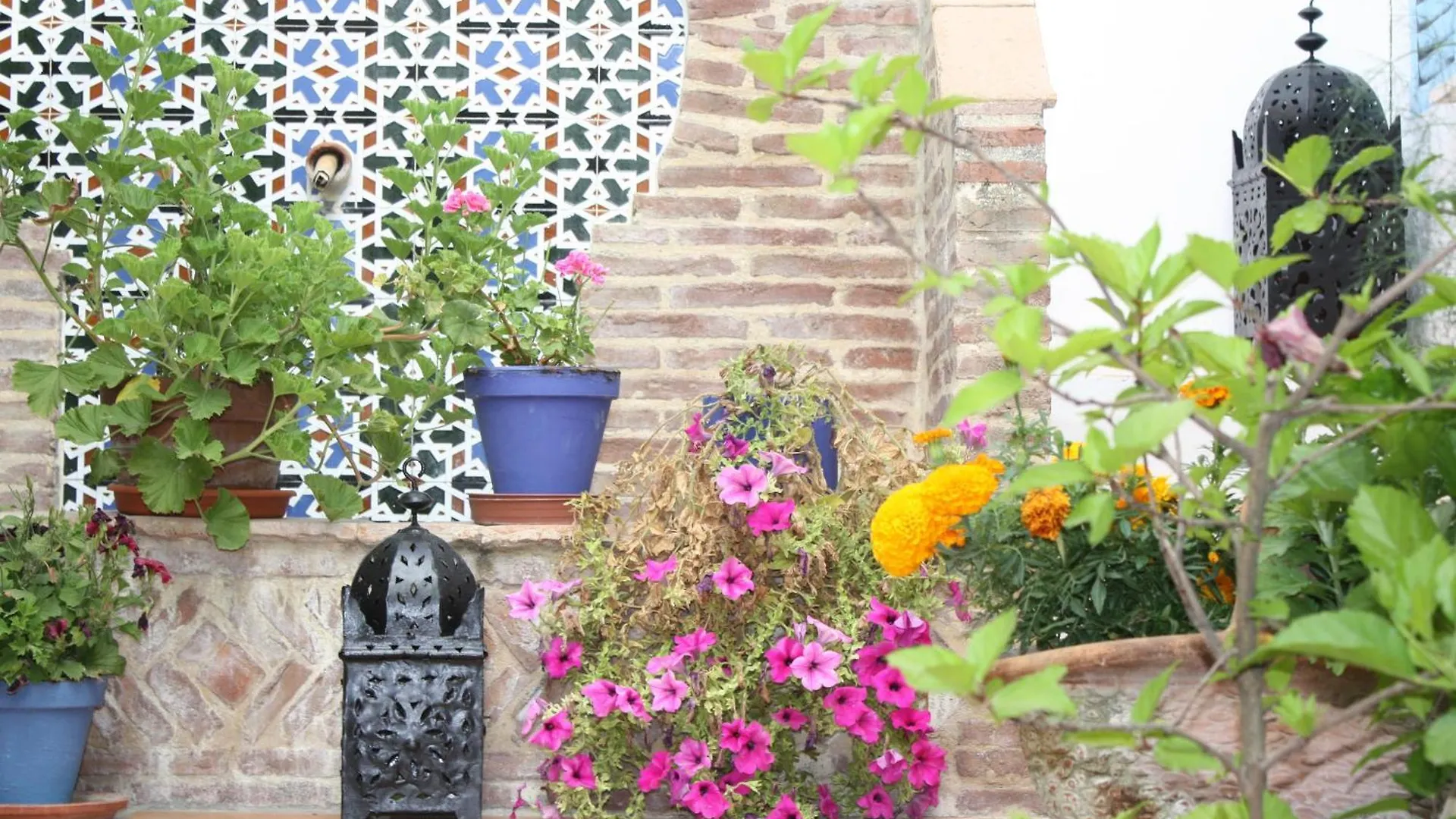Guest house El Cobijo De Vejer Hotel Vejer de la Frontera